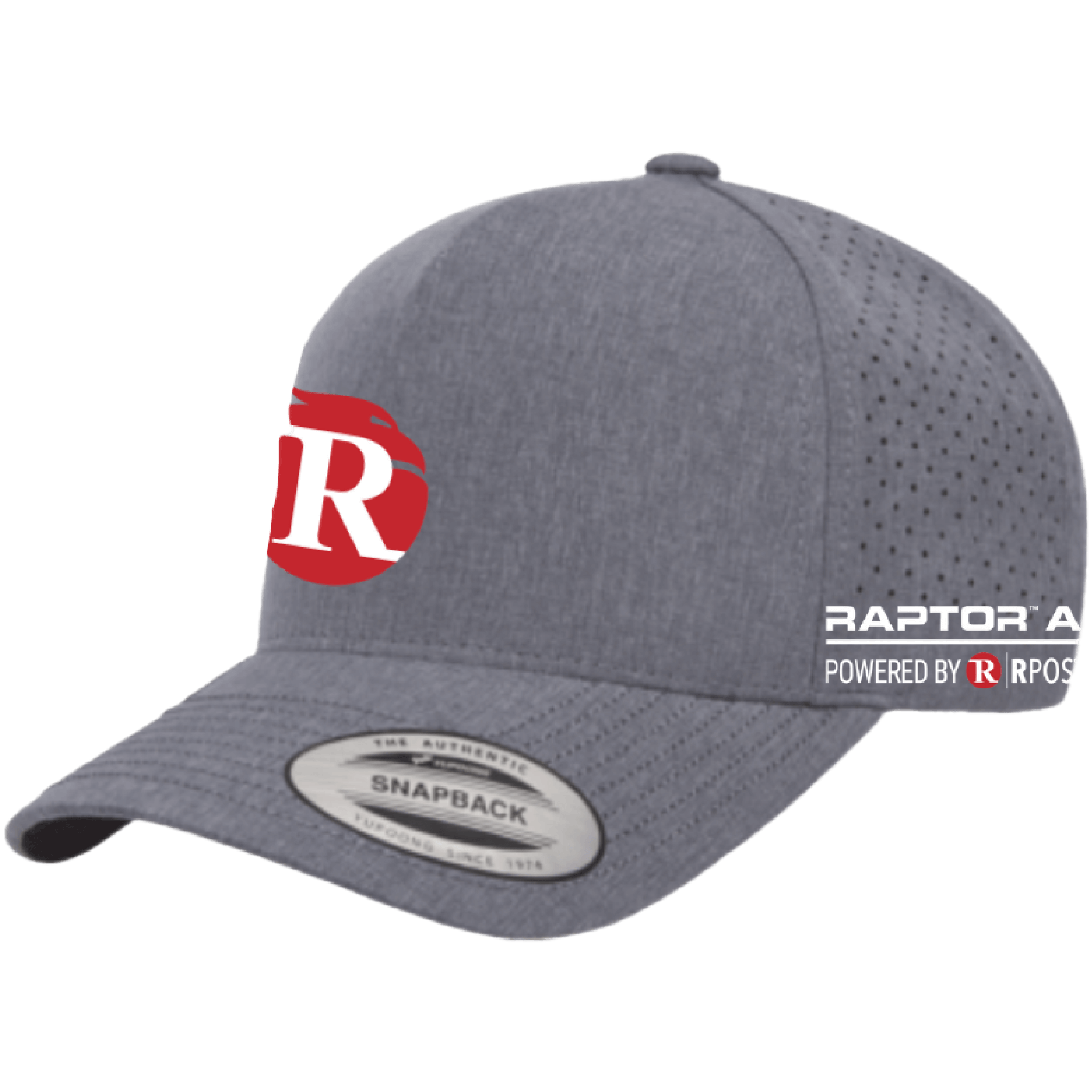 RAPTOR CAP (GRAY)